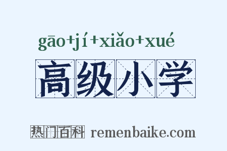 高级小学是什么意思的图片